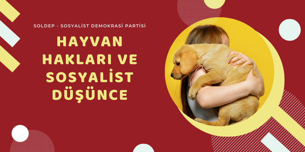 Hayvan Hakları ve Sosyalist Düşünce